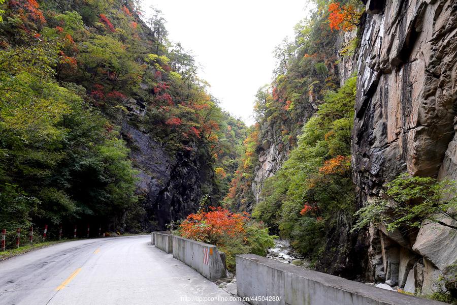 秦岭分水岭南坡峡谷(11) 第11页