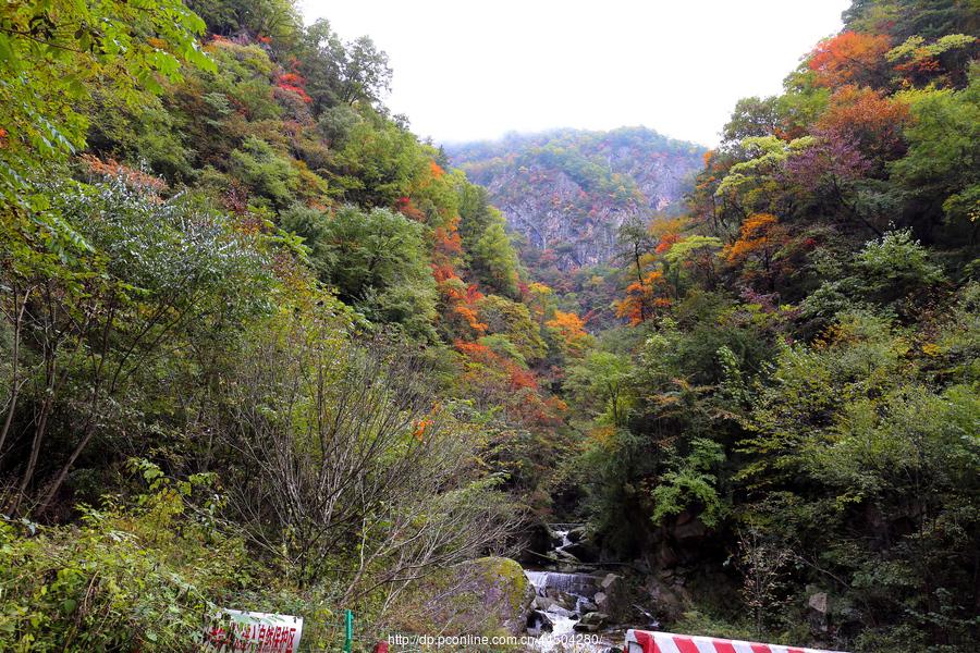 秦岭分水岭南坡峡谷(13) 第13页