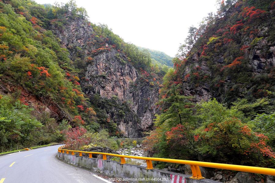 秦岭分水岭南坡峡谷(14) 第14页