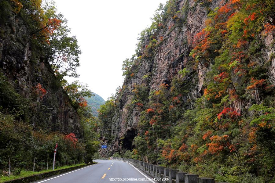 秦岭分水岭南坡峡谷(2) 第2页