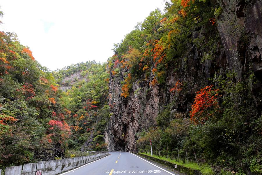 秦岭分水岭南坡峡谷(3) 第3页