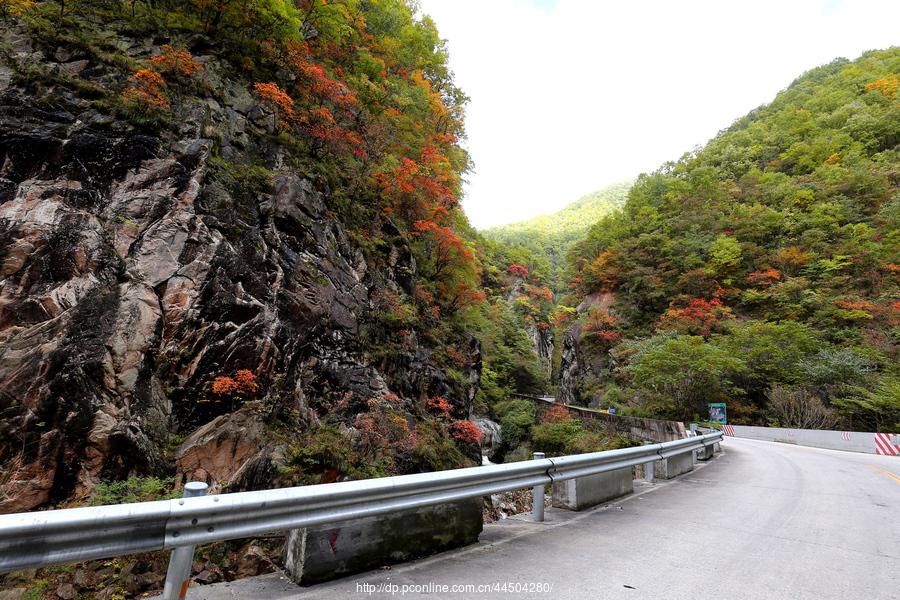 秦岭分水岭南坡峡谷(4) 第4页