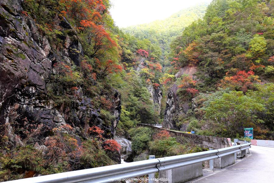 秦岭分水岭南坡峡谷(5) 第5页