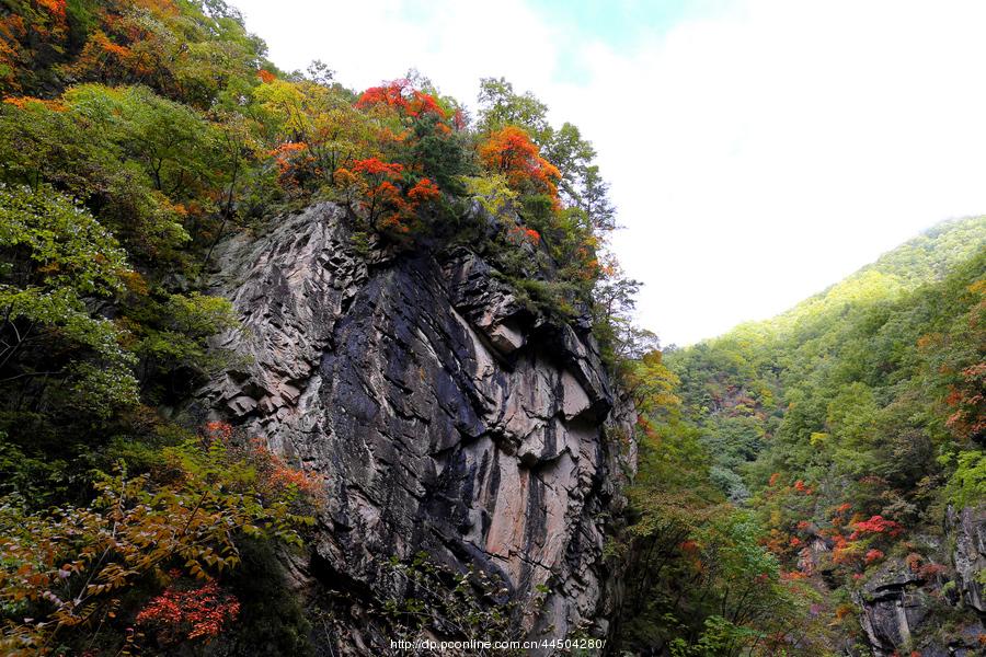 秦岭分水岭南坡峡谷(7) 第7页