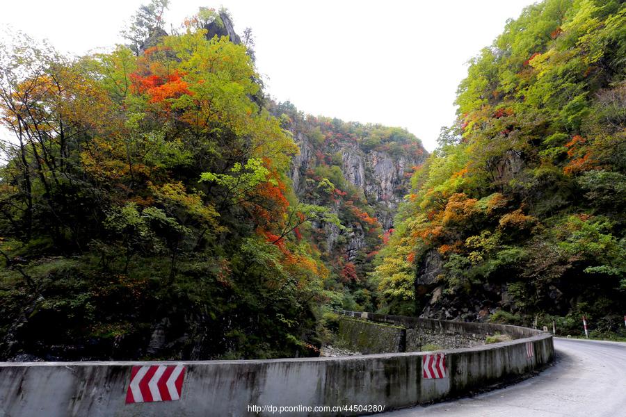 秦岭分水岭南坡峡谷(8) 第8页