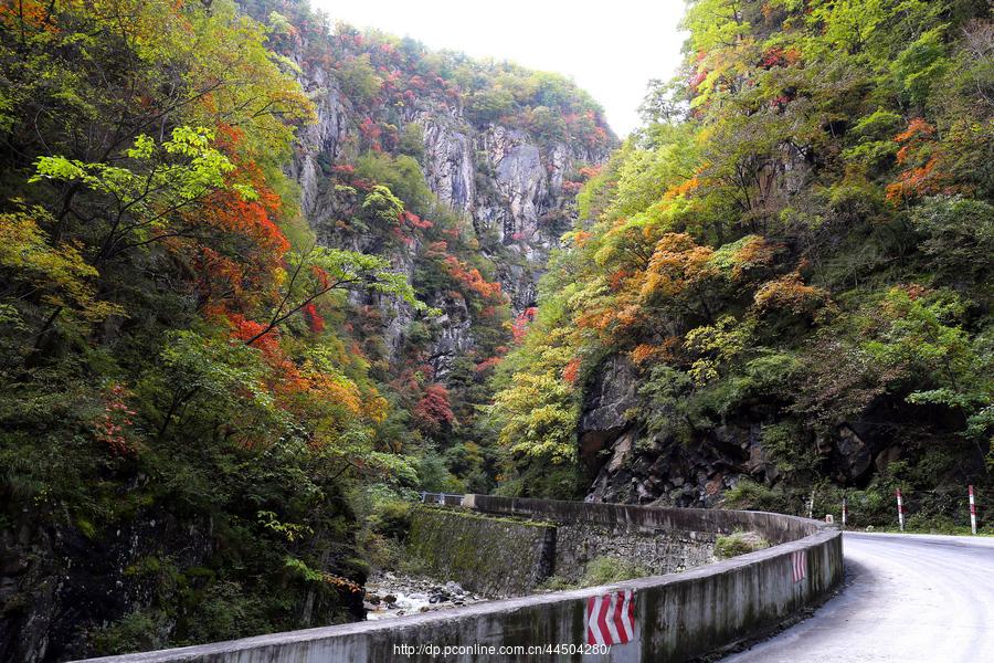 秦岭分水岭南坡峡谷(9) 第9页