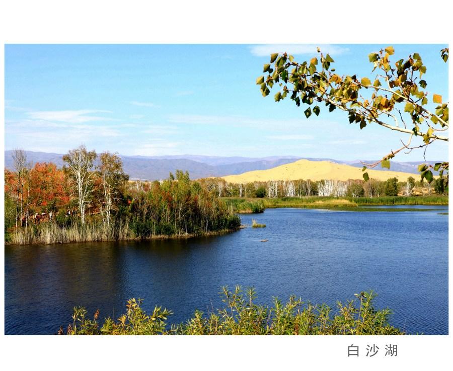 新疆白沙湖 第1页