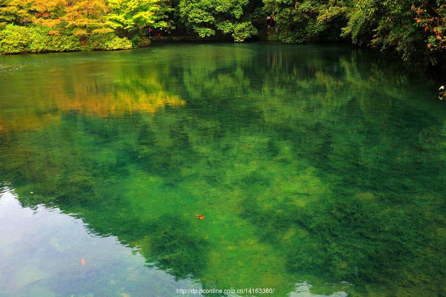 大美杭州九溪烟树(3) 第3页