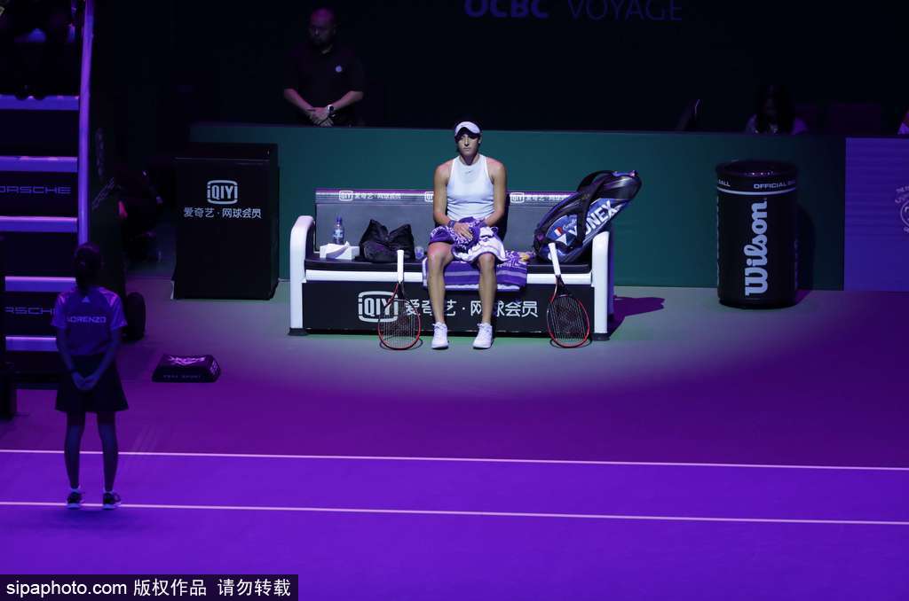 2017WTA年终总决赛：哈勒普2-0加西亚(2) 第2页