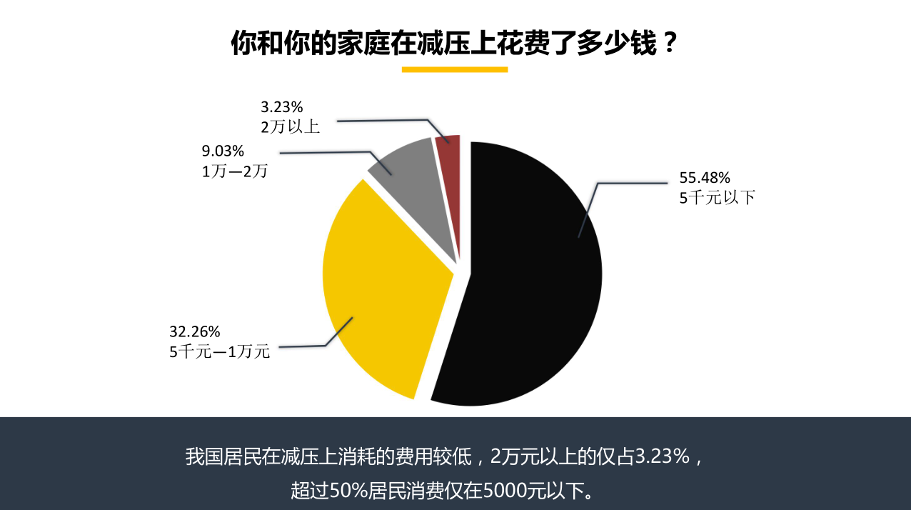 2017国民减压方式调查报告(26) 第26页