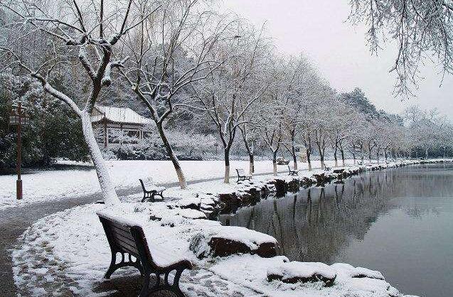 杭州雪景图片 第1页