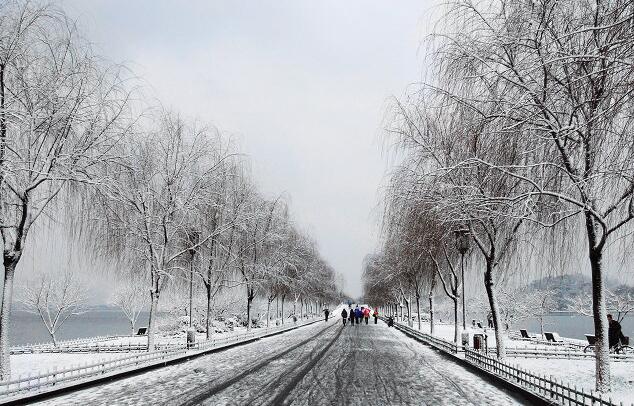 杭州雪景图片(4) 第4页