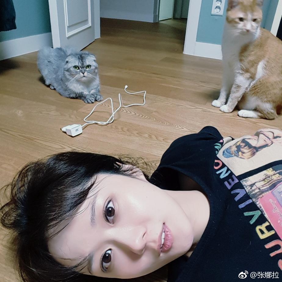 组图：张娜拉怀抱萌宠笑容甜美 狗狗猫猫她都爱(3) 第3页