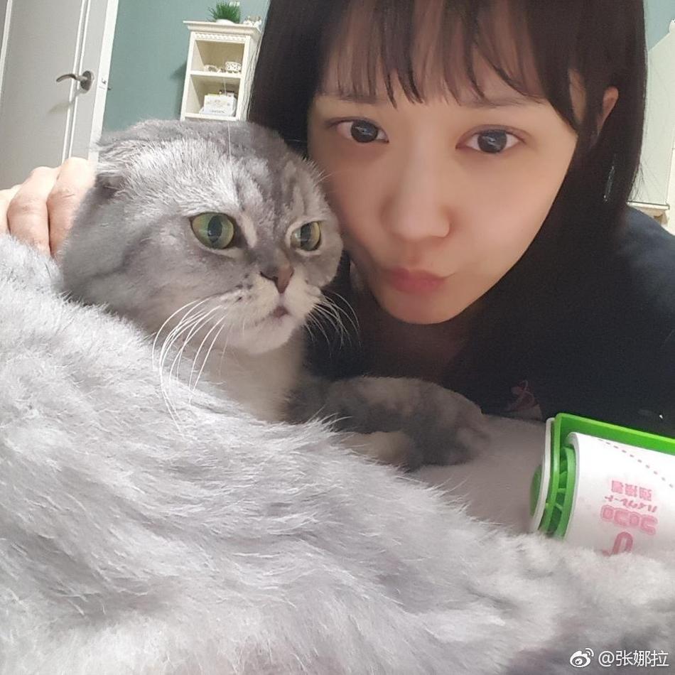 组图：张娜拉怀抱萌宠笑容甜美 狗狗猫猫她都爱(4) 第4页