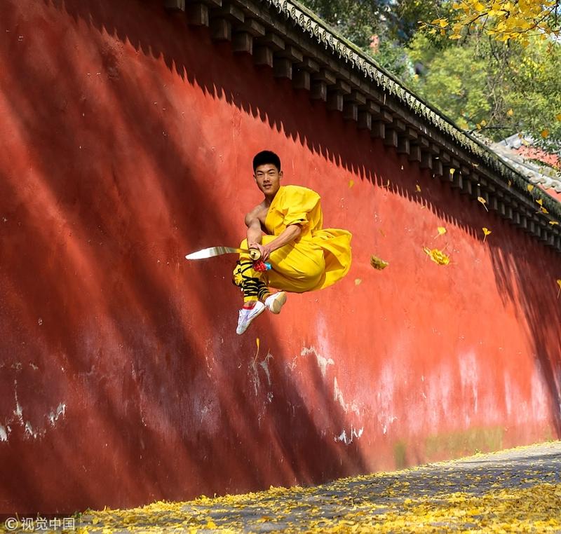 少林寺披"黄金甲" 武术小子银杏树下练武(图)(2) 第2页