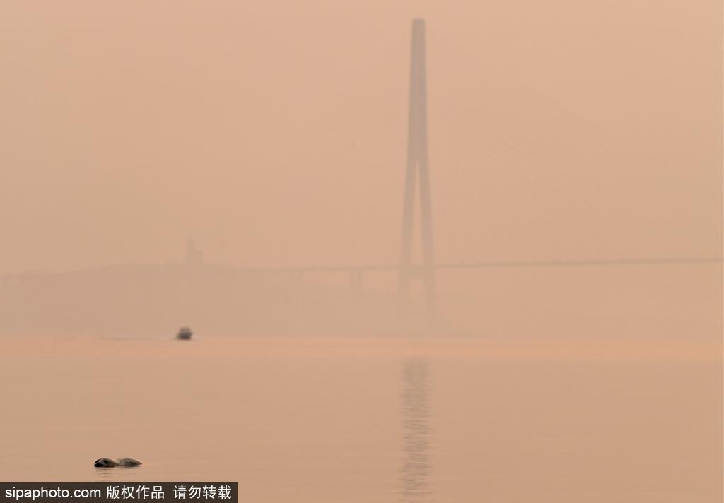 静谧的海边城市 俄罗斯海参崴初冬风光(3) 第3页