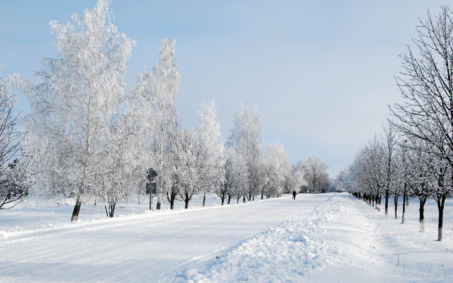 冬季雪景唯美自然风光图片桌面壁纸(8) 第8页