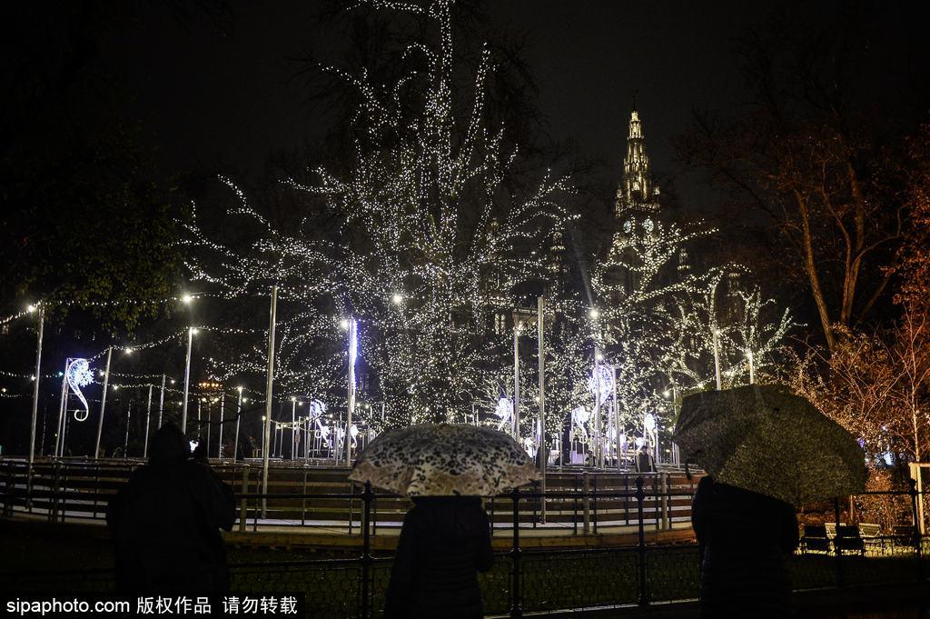 奥地利维也纳圣诞市场 充满欧洲圣诞风情(8) 第8页