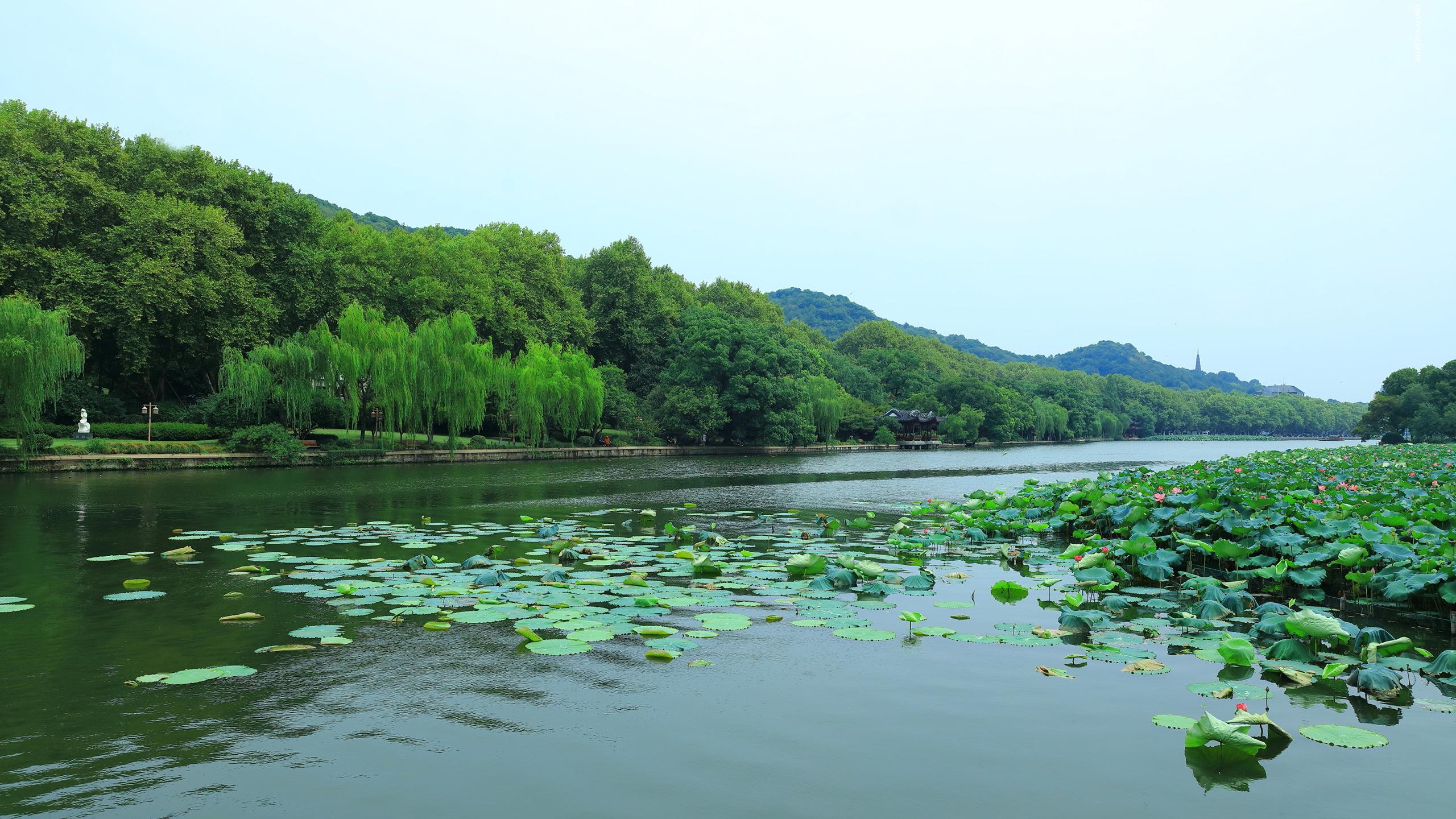唯美杭州西湖美景摄影电脑壁纸(3) 第3页