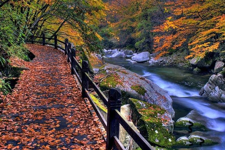 光雾山风景图片 第1页