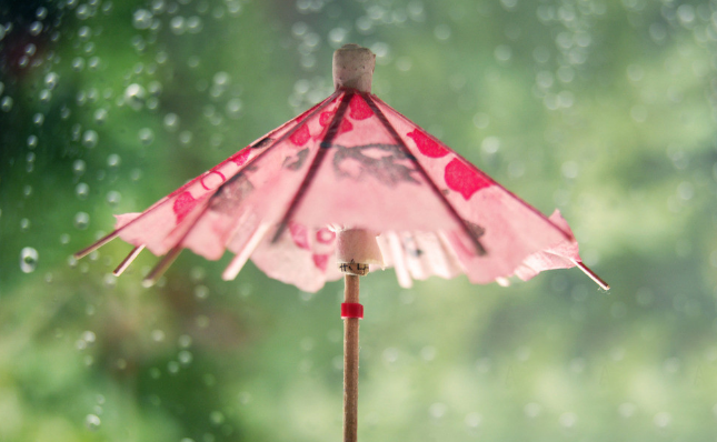 雨天图片(4) 第4页