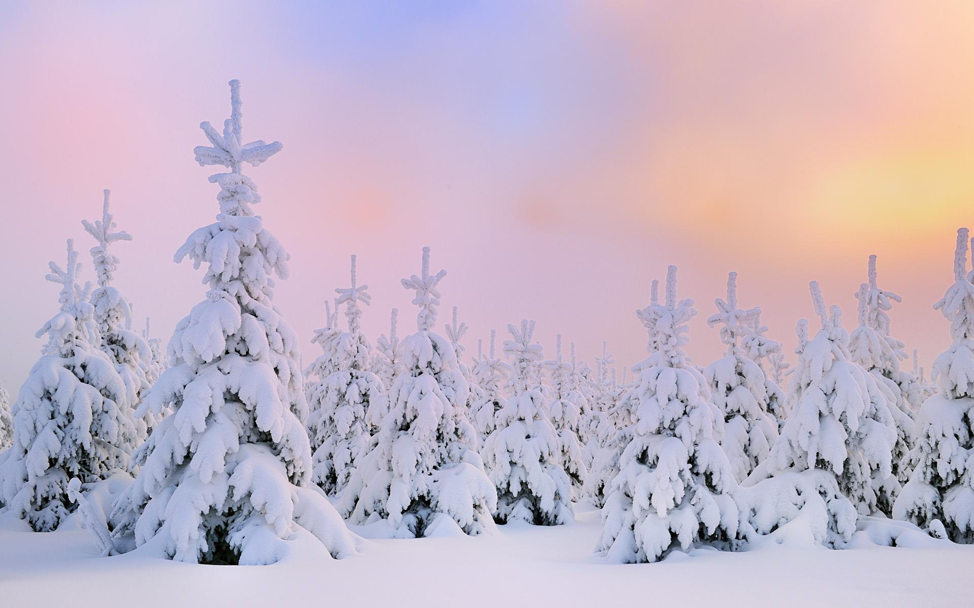 美丽漂亮的冬日雪景唯美风景图片(2) 第2页