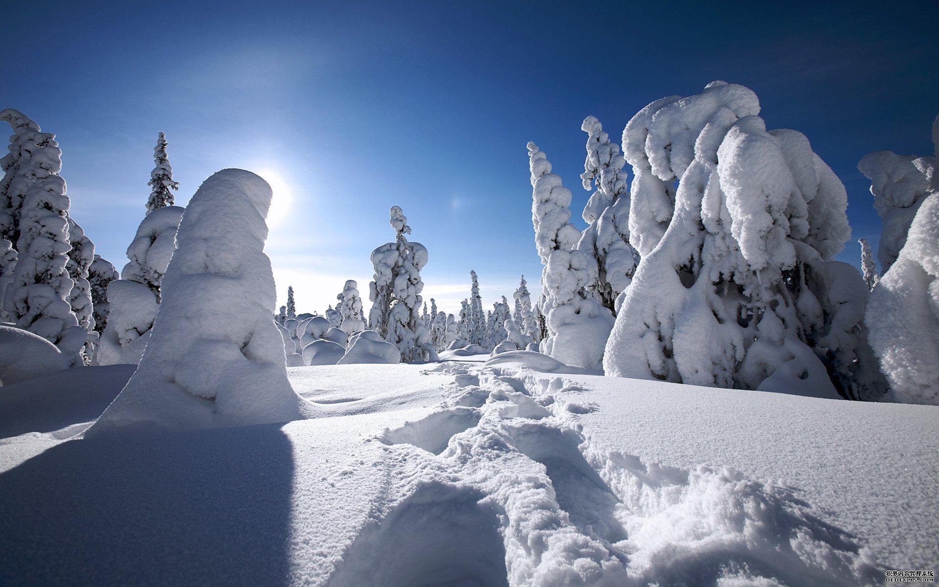 美丽漂亮的冬日雪景唯美风景图片(4) 第4页