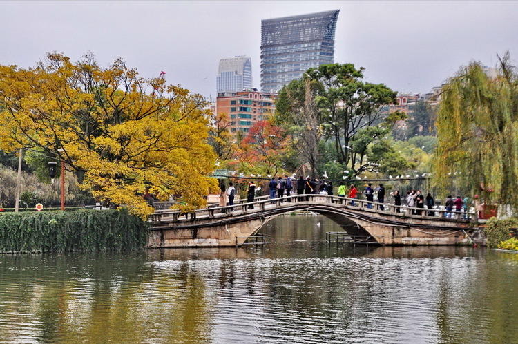 昆明翠湖秋景画卷(8) 第8页