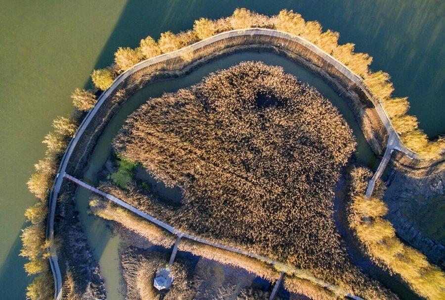 到高邮湖芦苇荡湿地公园来一次真正的佛系之旅!(4) 第4页