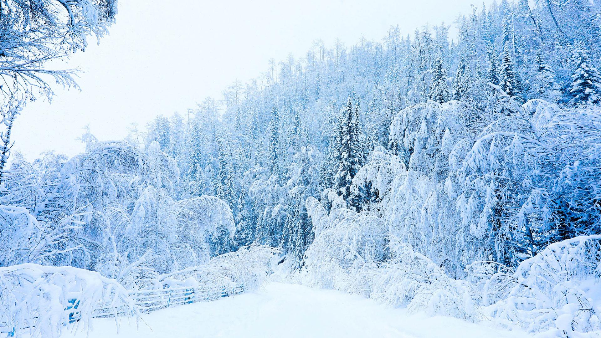 冬季雪景自然风光高清图片桌面壁纸(3) 第3页