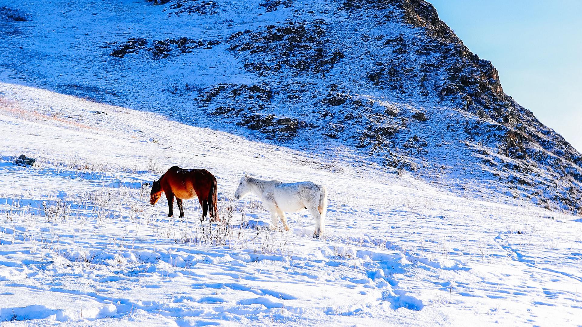 冬季雪景自然风光高清图片桌面壁纸(4) 第4页