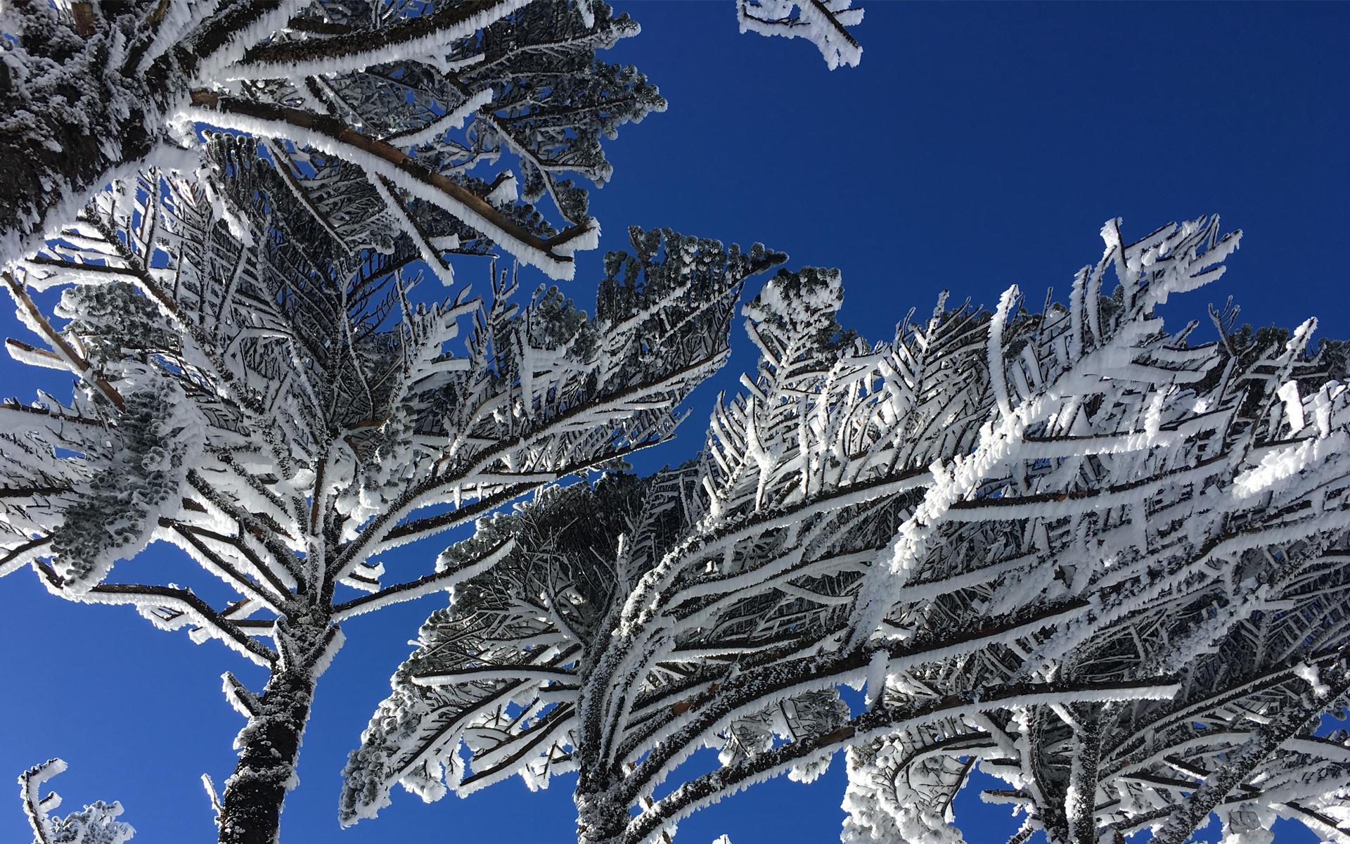 冬日大理雪景图片电脑桌面高清壁纸 第1页