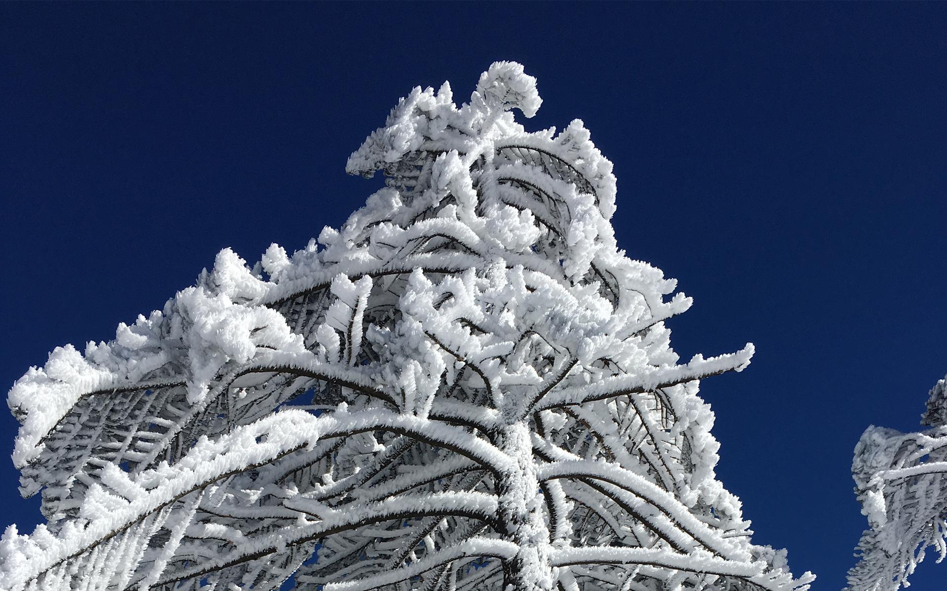 冬日大理雪景图片电脑桌面高清壁纸(3) 第3页