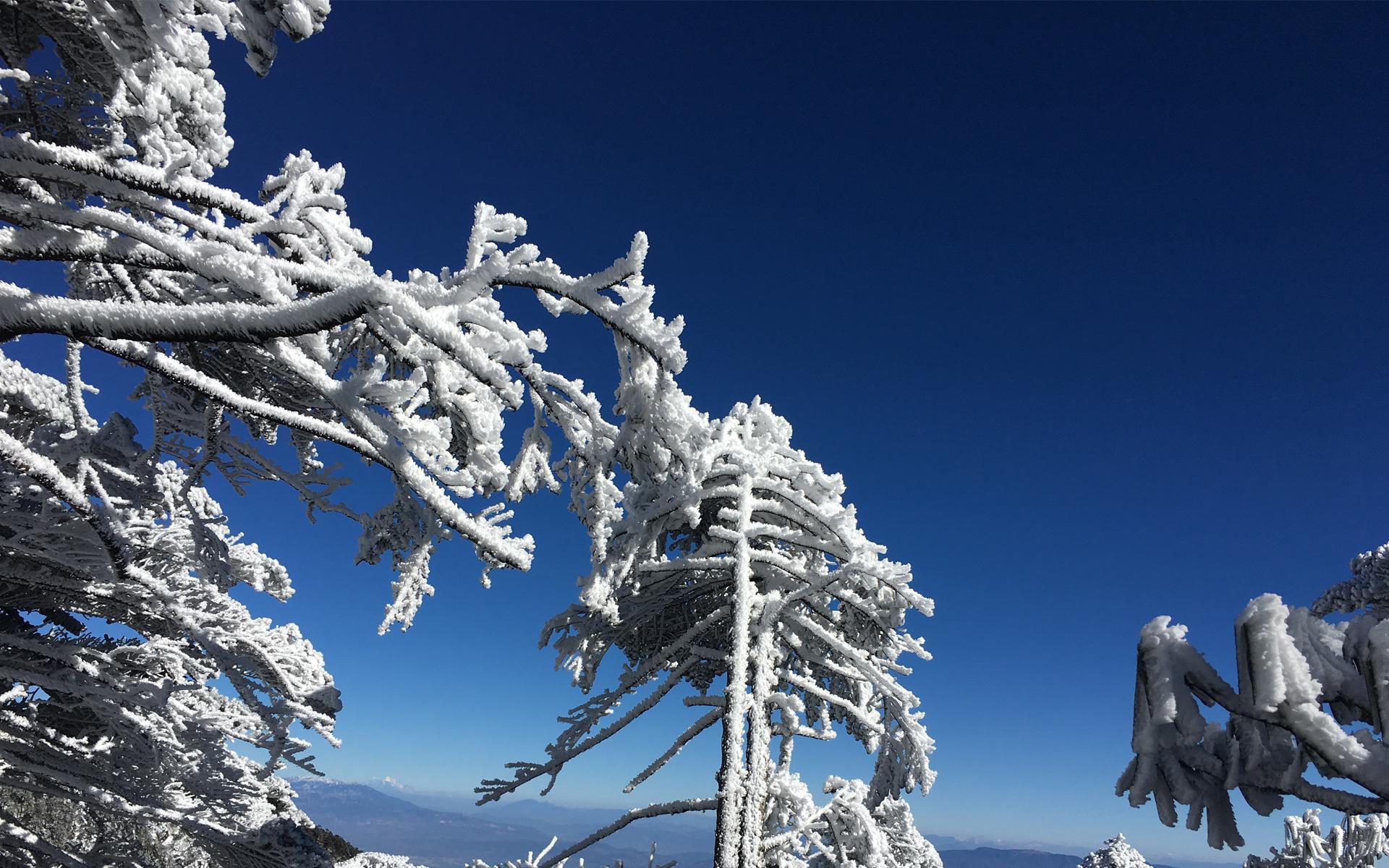 冬日大理雪景图片电脑桌面高清壁纸(4) 第4页