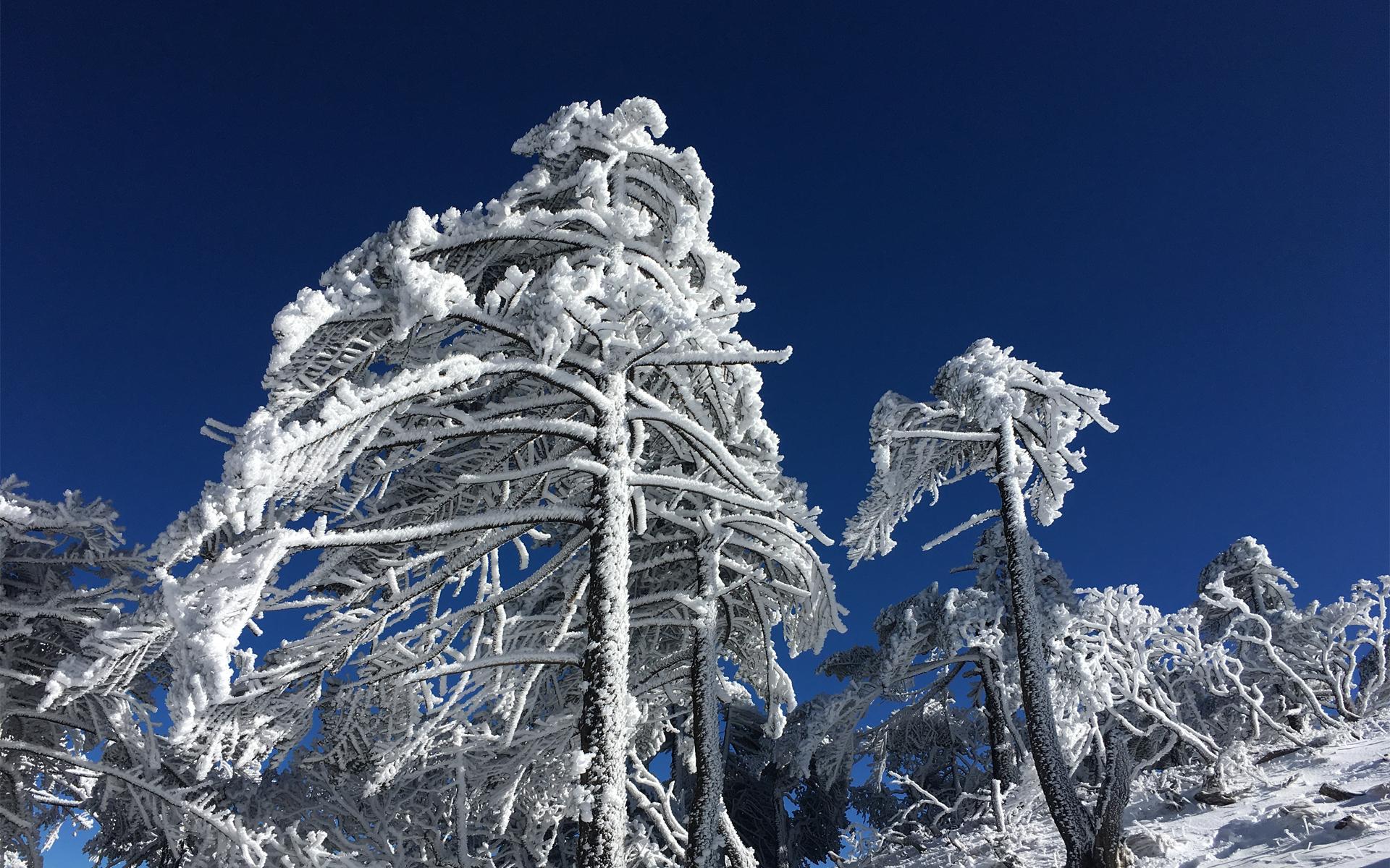 冬日大理雪景图片电脑桌面高清壁纸(7) 第7页