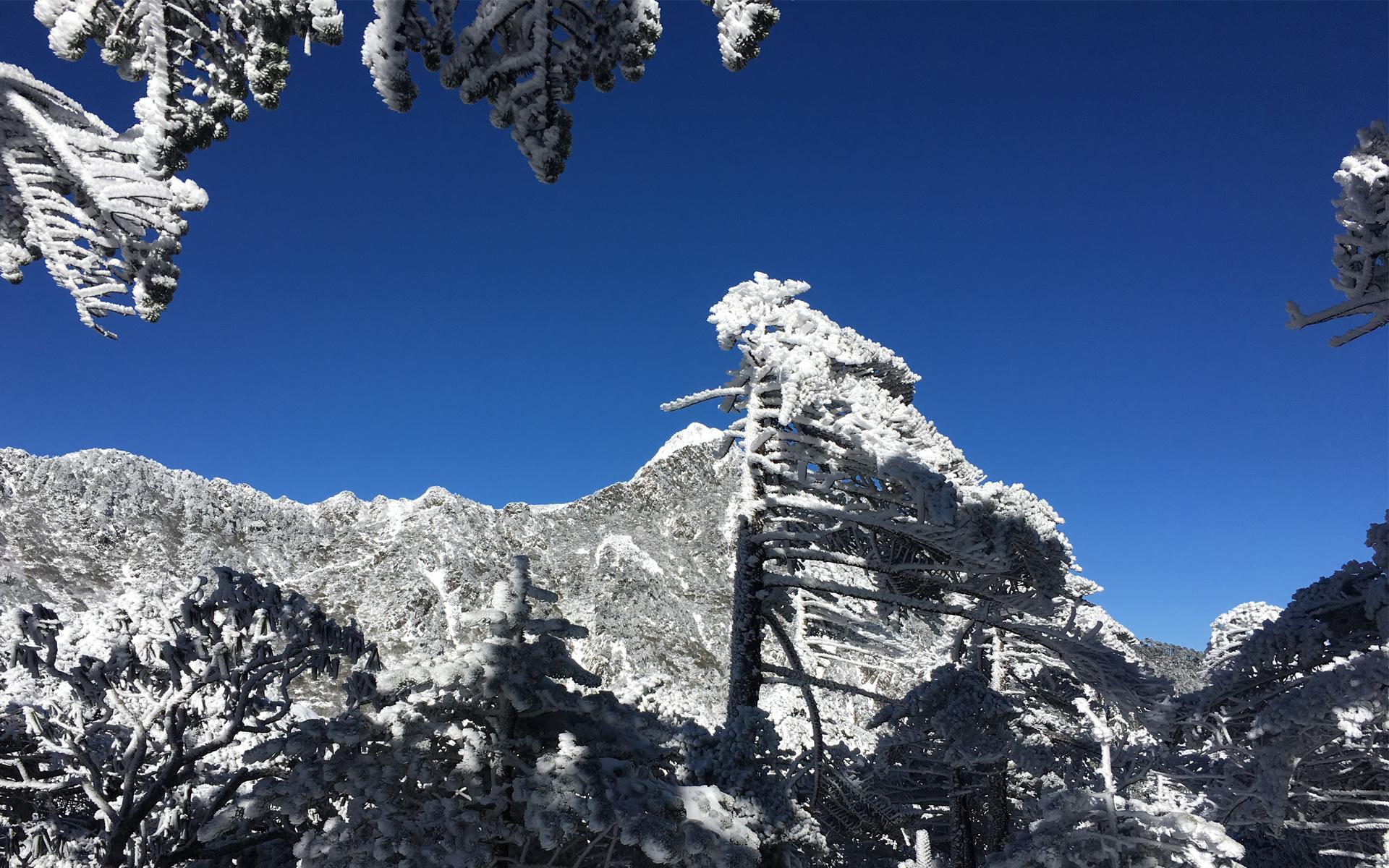 冬日大理雪景图片电脑桌面高清壁纸(8) 第8页