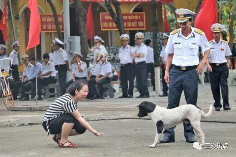 一群败军之犬！越军占我岛礁与流浪狗为伴相处和谐(15) 第15页