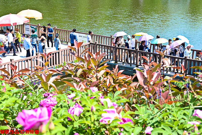 汉中：游客冒31℃“高温”乡村游 樱桃沟人潮如织排队如厕 第1页