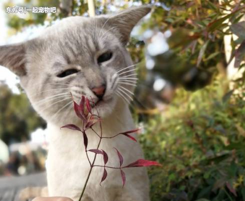 自从有了它之后，妈妈再也不用担心我的表情包不够用了(6) 第6页