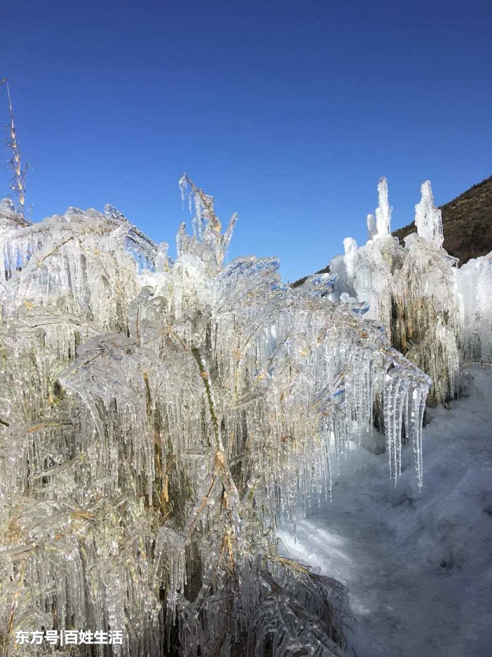 神农架风景区：中国最美十大森林公园(5) 第5页