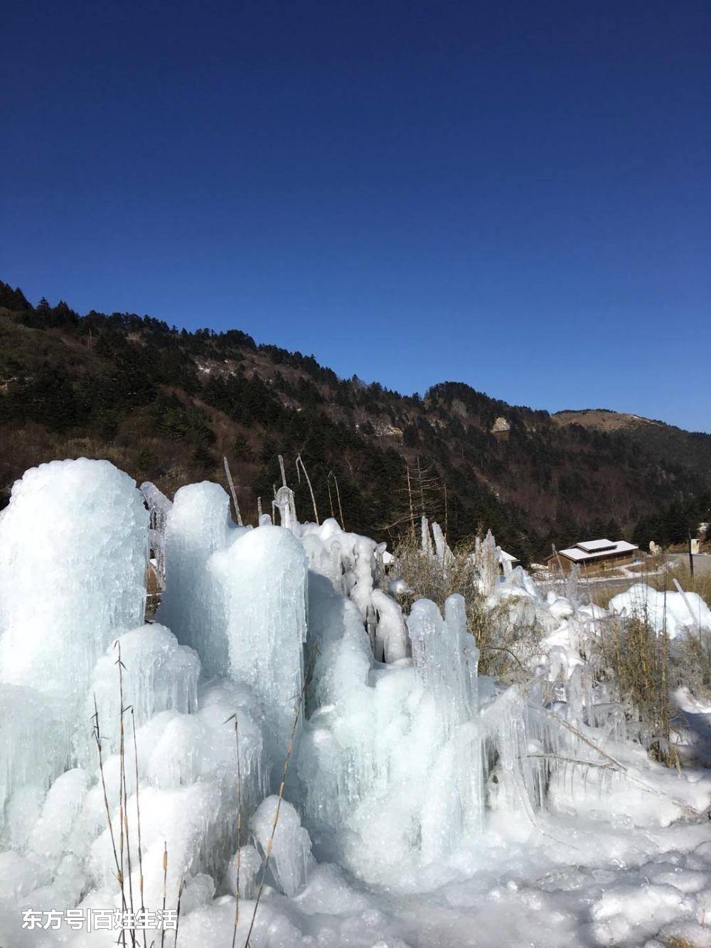 神农架风景区：中国最美十大森林公园(8) 第8页