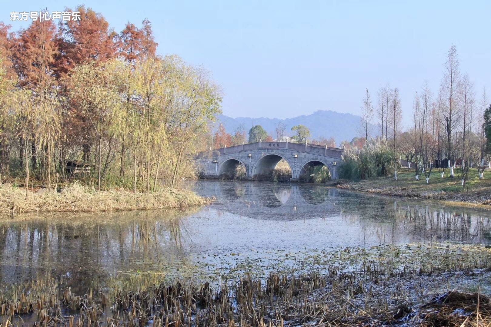 铅华褪尽，傲骨峥嵘，冬湘湖，美不甚收 第1页