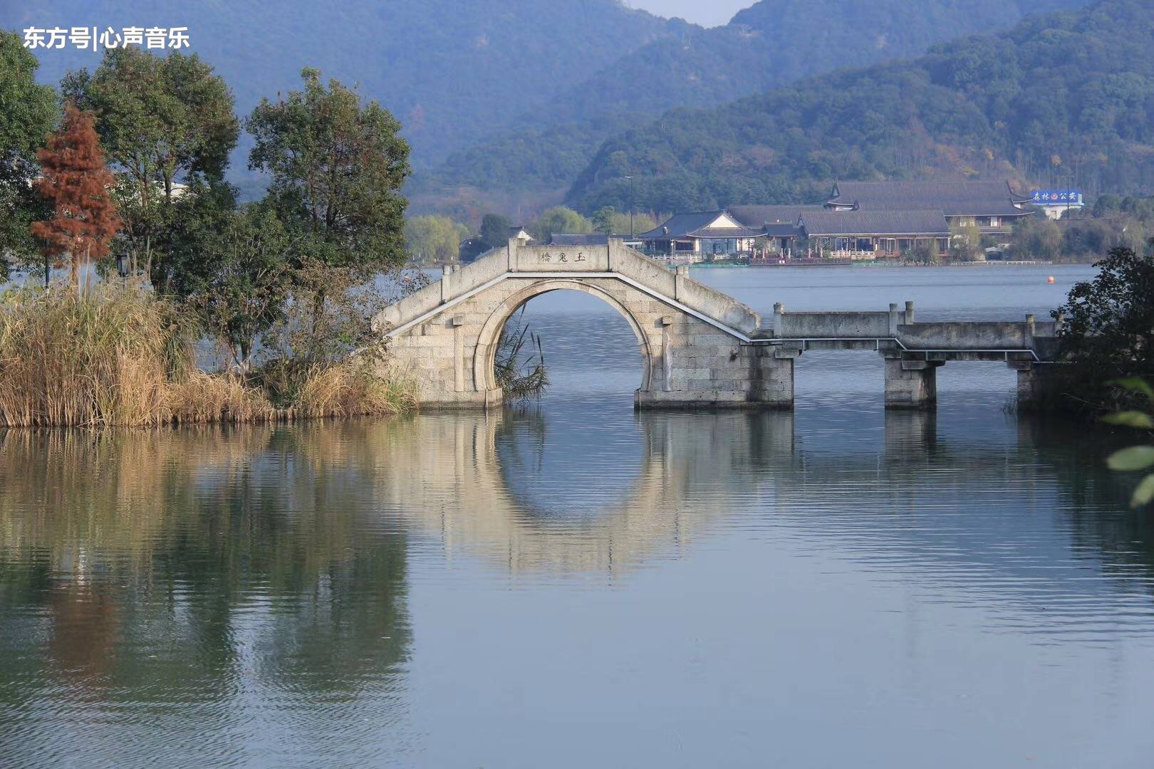 铅华褪尽，傲骨峥嵘，冬湘湖，美不甚收(5) 第5页