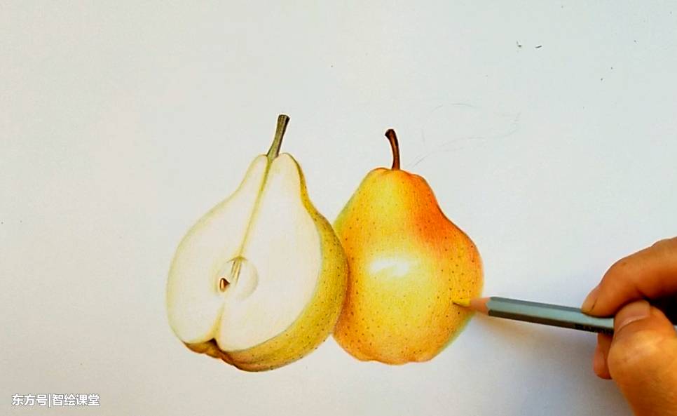 用彩铅画一个香脆可口的梨子,详细教程出炉,适合零基础小伙伴!